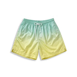 TFW - Mens quick dry swim shorts